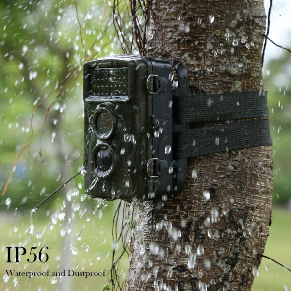 12 - Image 7