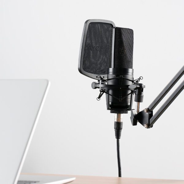 Condenser microphone large diaphragm K song computer - Image 3