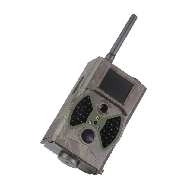 12 - Image 2