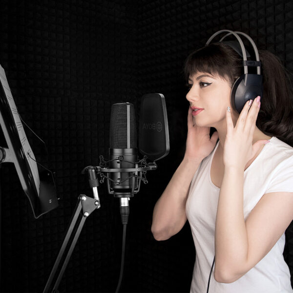 Condenser microphone large diaphragm K song computer - Image 4