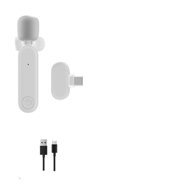 One To Two Wireless Lavalier Microphone - Image 4